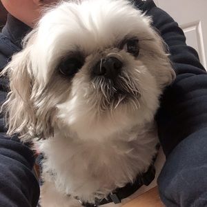 Meet your Posher, Suet